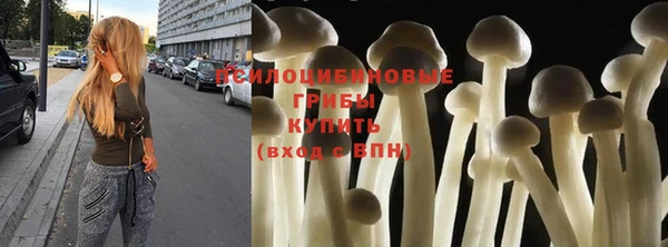 мет Дмитриев