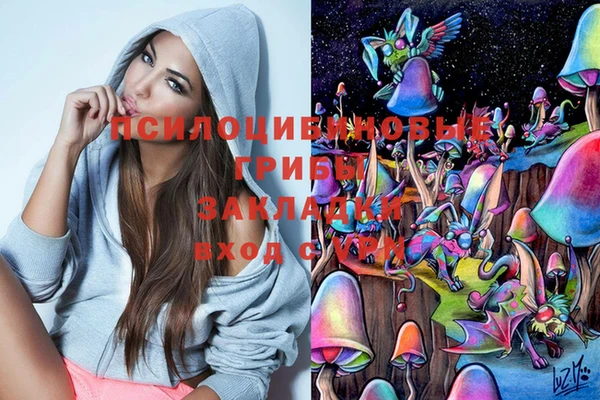дмт Дмитровск