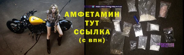 мет Дмитриев