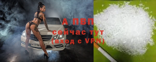 дмт Дмитровск