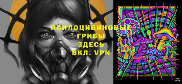 дмт Дмитровск