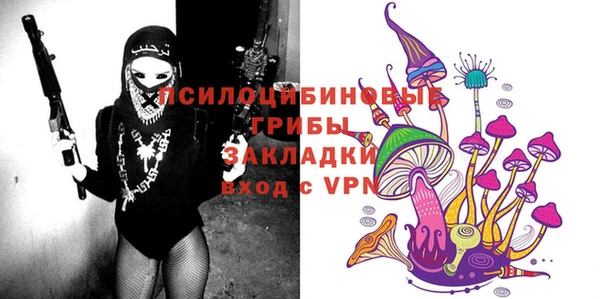 мескалин Ельня