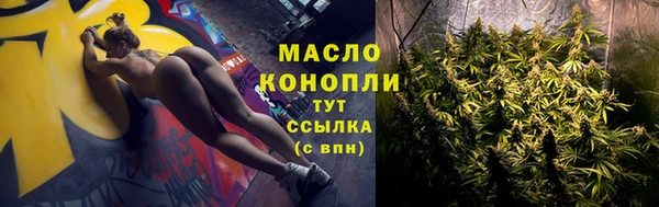 мет Дмитриев