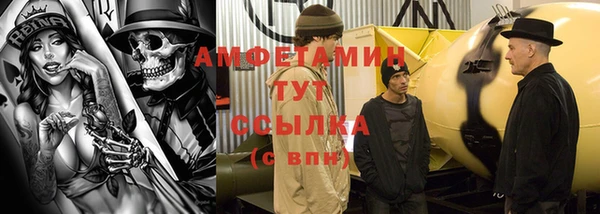 мет Дмитриев