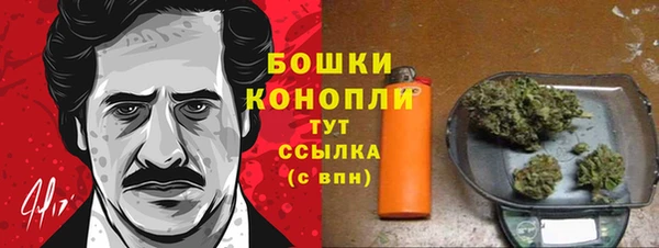 дмт Дмитровск
