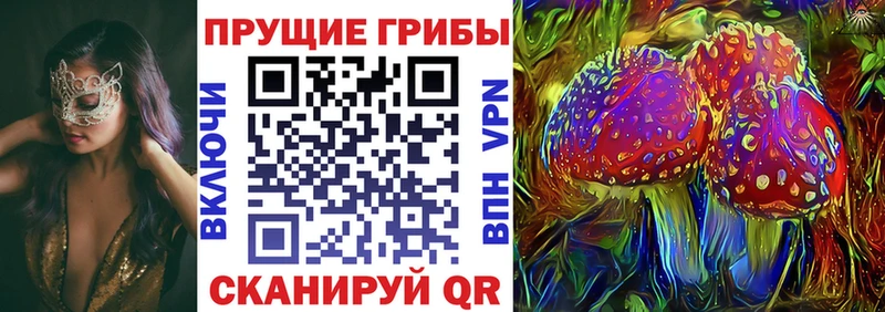 Галлюциногенные грибы MAGIC MUSHROOMS  Купить  Мончегорск 